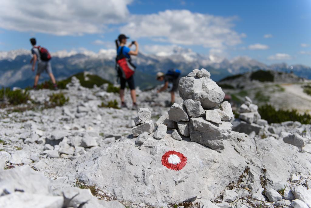Penzion Vila Bistrica Bohinjska Bistrica Bagian luar foto