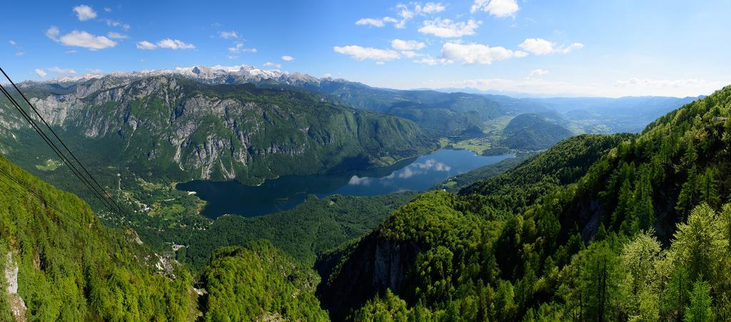 Penzion Vila Bistrica Bohinjska Bistrica Bagian luar foto