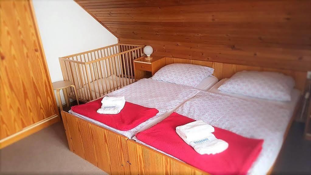 Penzion Vila Bistrica Bohinjska Bistrica Bagian luar foto